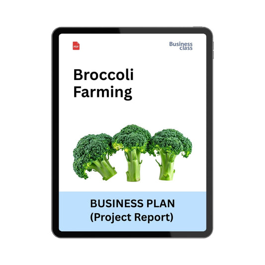 Broccoli Farming Project Report & Business Plan PDF | Cost of Cultivation, Profitability and Financial Projections