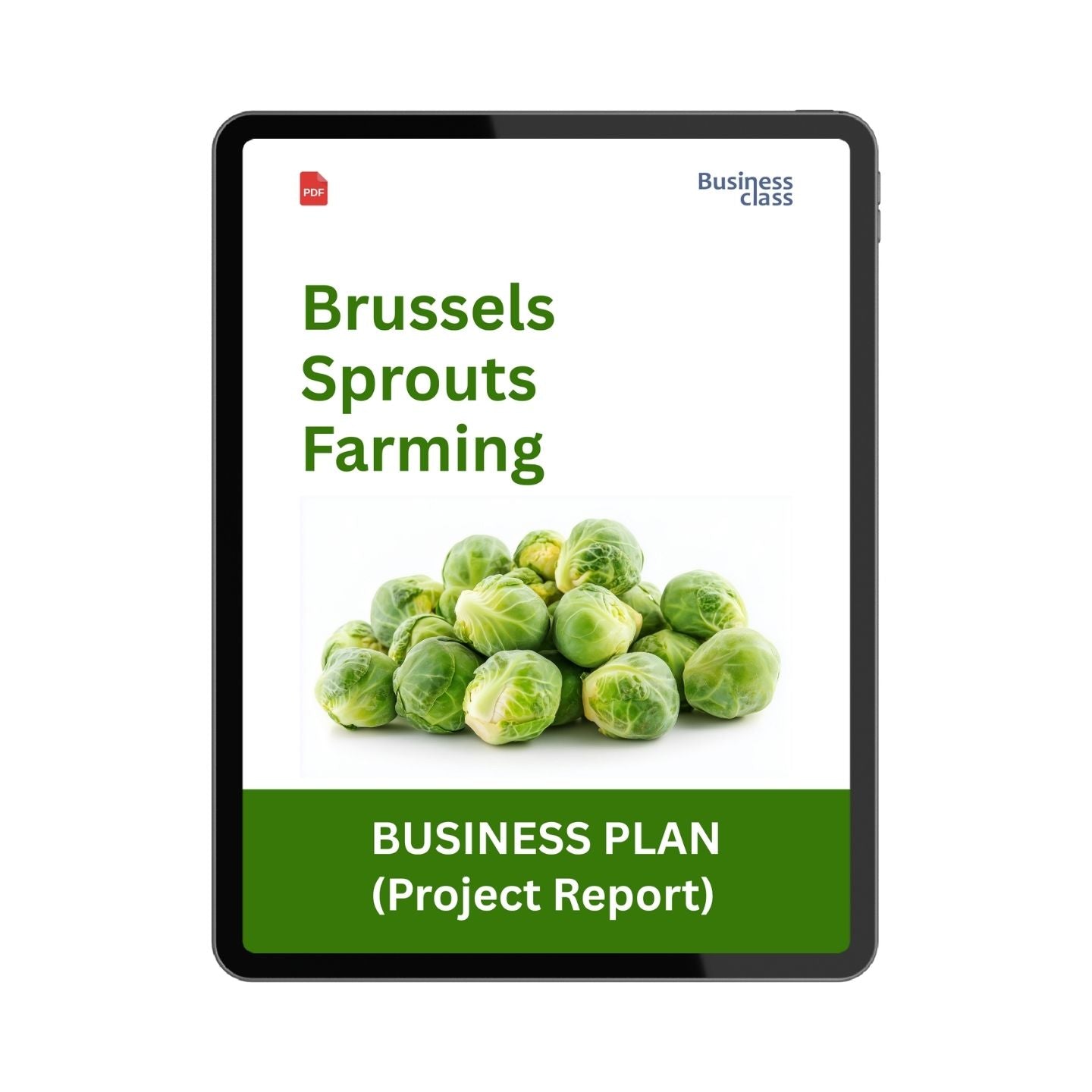 Brussels Sprouts Farming Project Report & Business Plan PDF | Cost, Profit, Cultivation, Financials