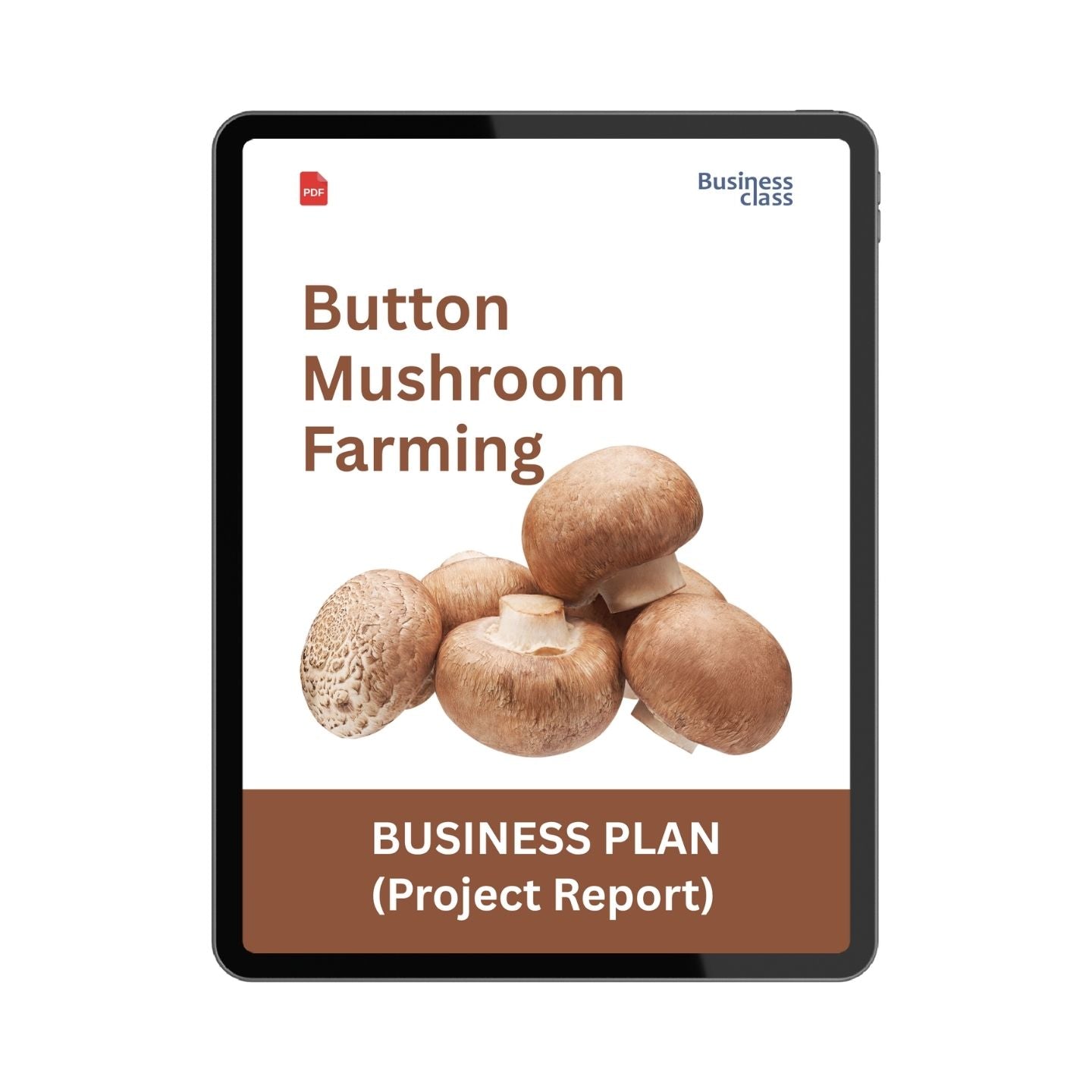 Button Mushroom Farming Project Report & Business Plan PDF eBook