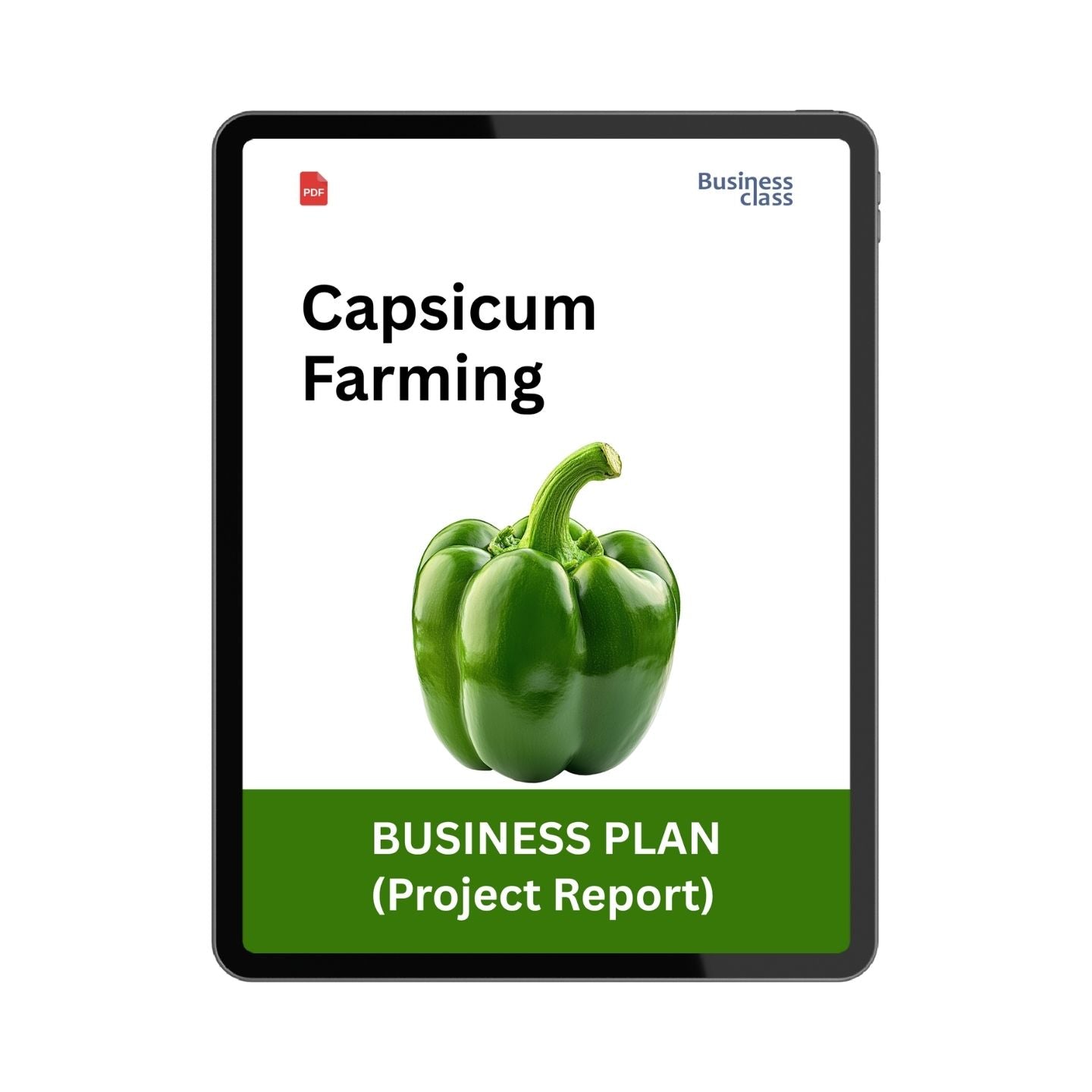 Capsicum Farming Project Report & Business Plan PDF eBook