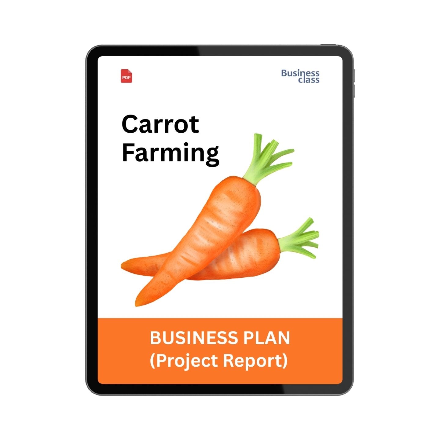 Carrot Farming Project Report & Business Plan PDF eBook | Cost, Profit, Yield, Financial Plan