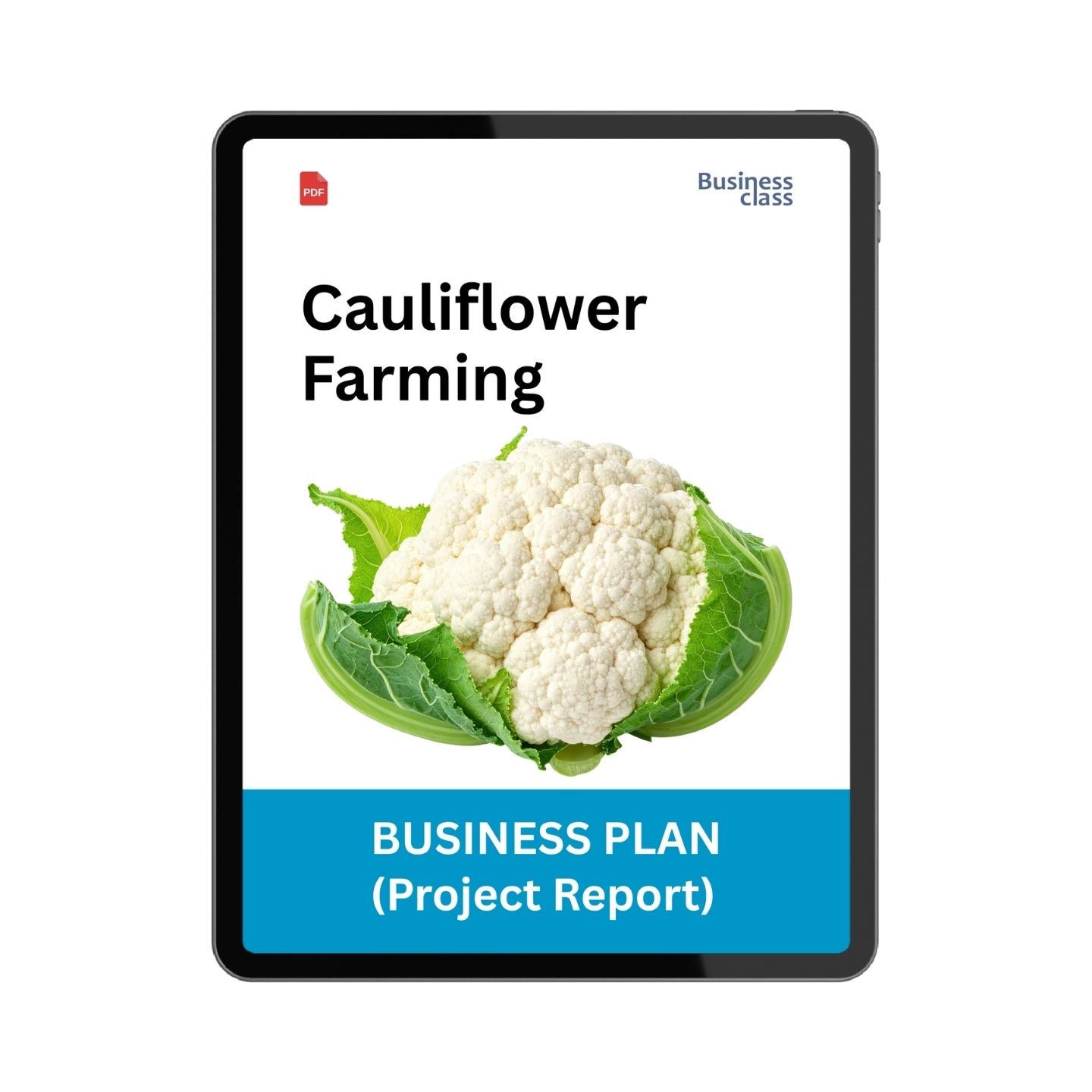 Cauliflower Farming Project Report & Business Plan PDF eBook