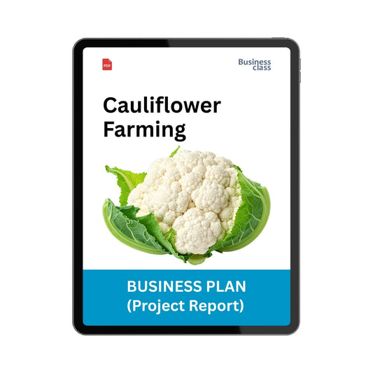 Cauliflower Farming Project Report & Business Plan PDF eBook