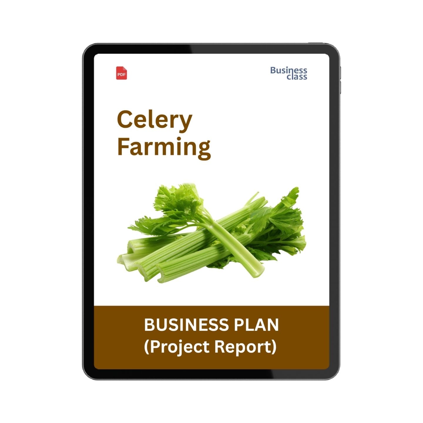 Celery Farming Project Report & Business Plan PDF | Cost, Profit, Cash Flow and Bank Loan Ready Format