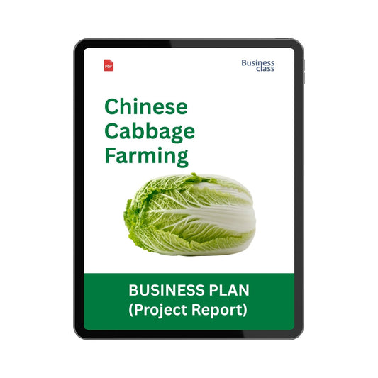 Chinese Cabbage Farming Project Report & Business Plan PDF Ebook