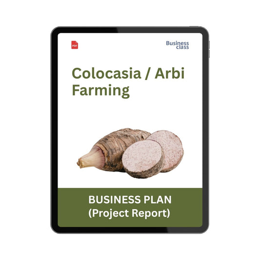 Colocasia (Arbi / Taro) Farming Project Report & Business Plan PDF