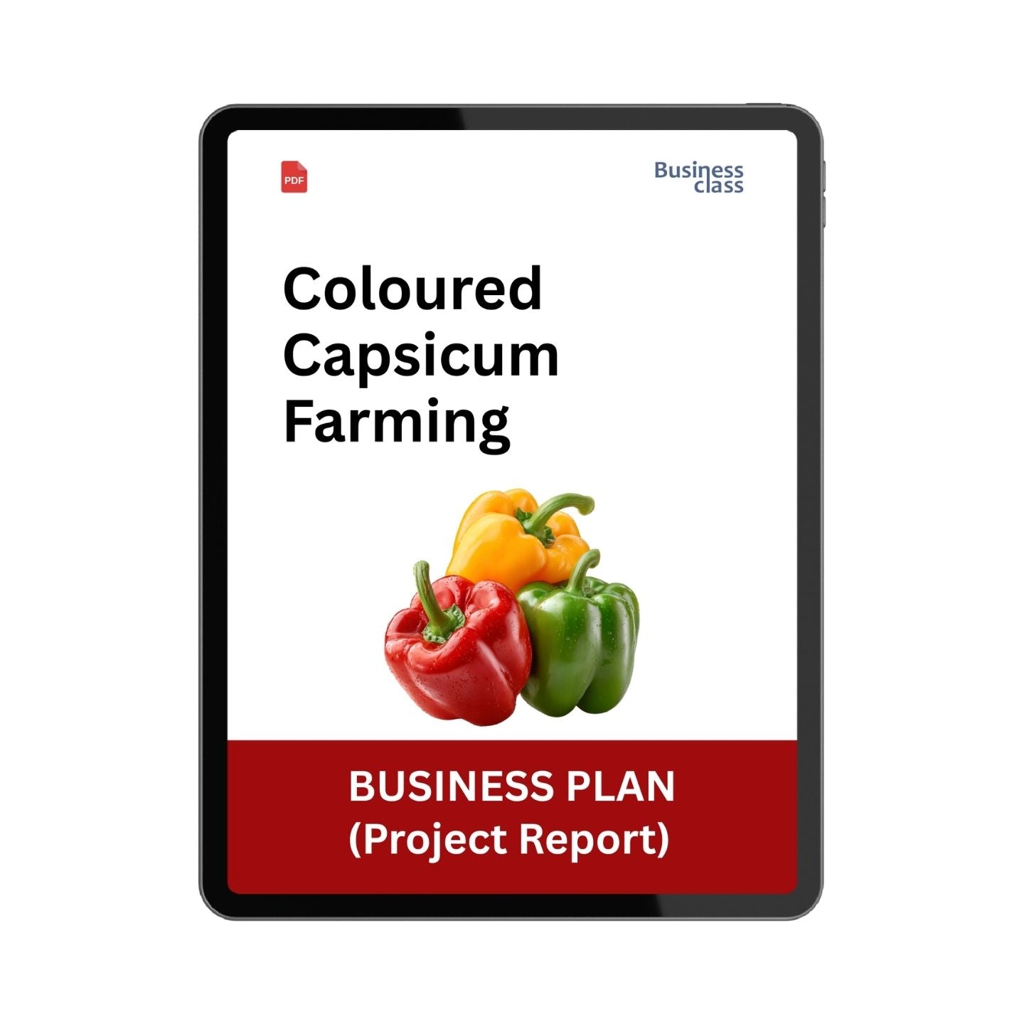Coloured Capsicum Farming Project Report & Business Plan PDF