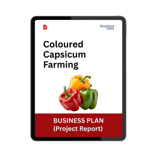 Coloured Capsicum Farming Project Report & Business Plan PDF