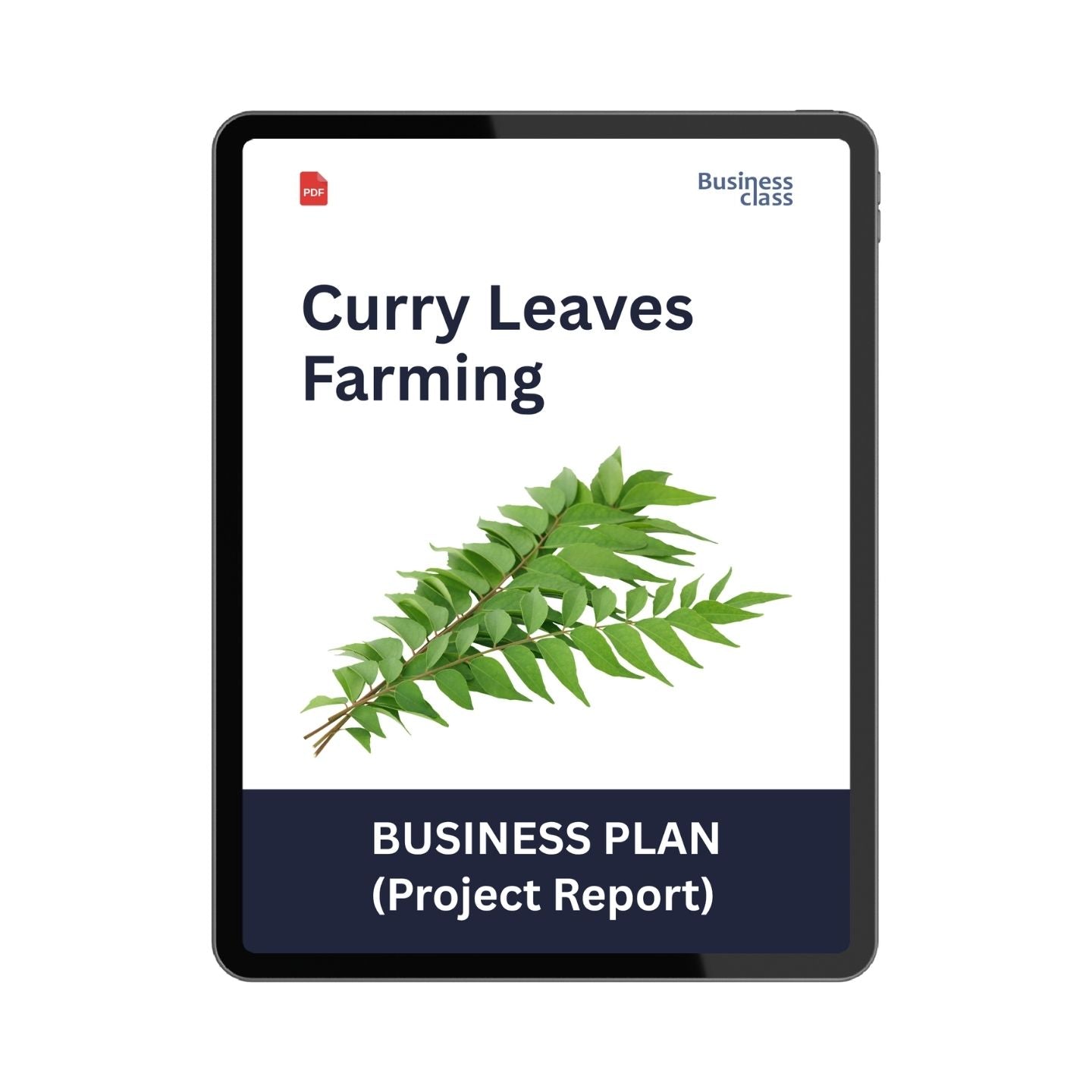 Curry Leaves Farming Project Report & Business Plan PDF eBook | Cost, Cultivation, Profit, Loan & Financial Projections