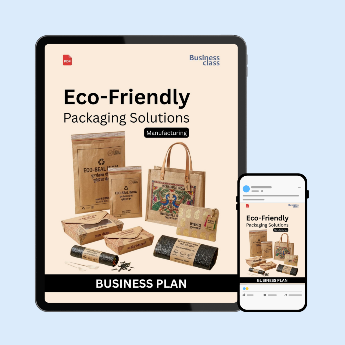 Eco-Friendly Packaging Business Plan Ebook