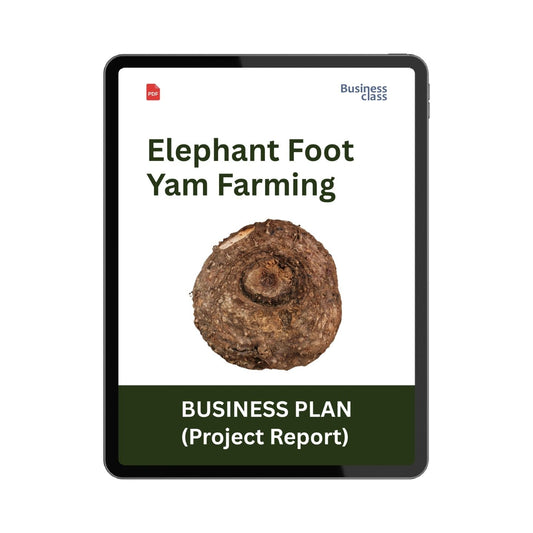 Elephant Foot Yam Farming Project Report & Business Plan PDF Ebook