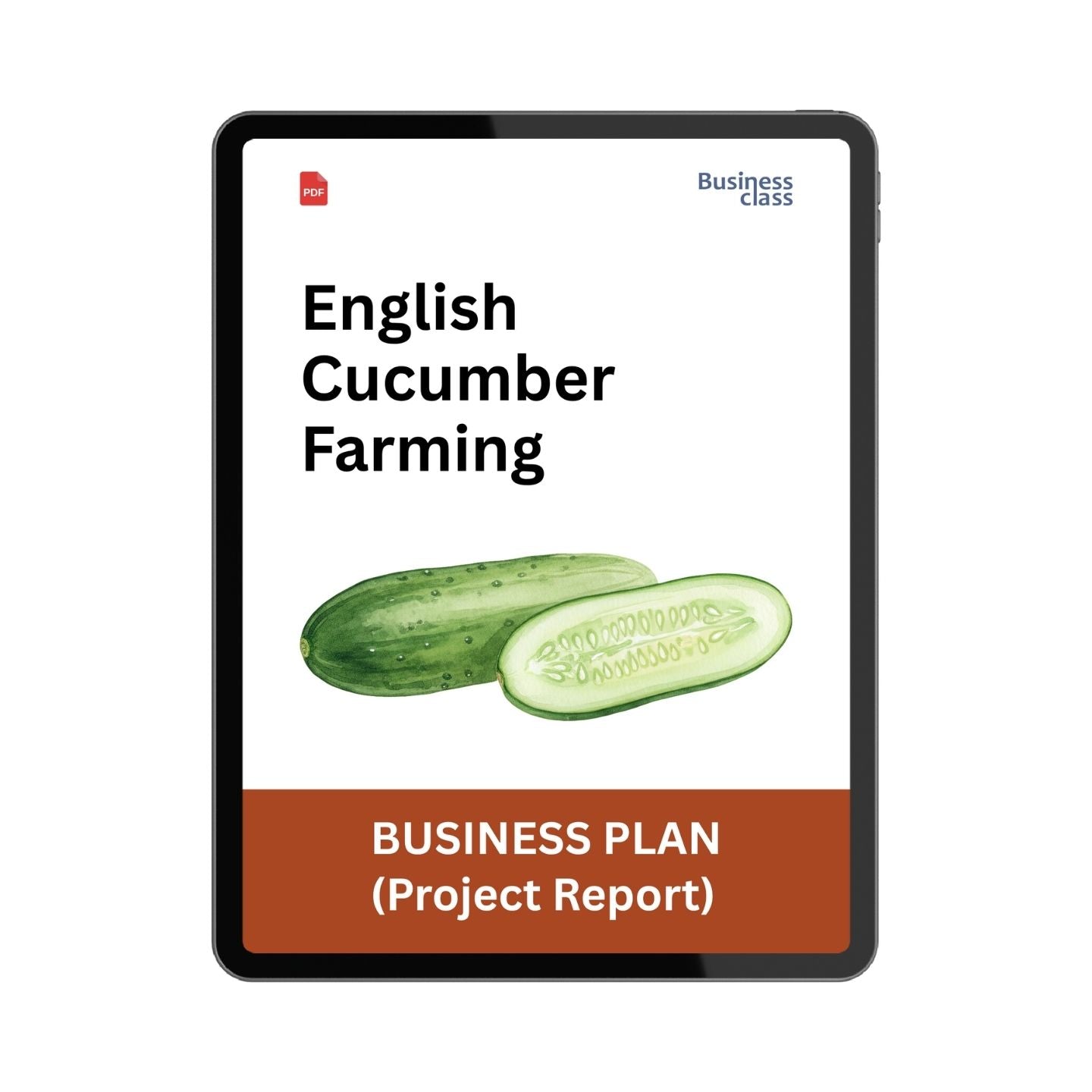 English Cucumber Farming Project Report & Business Plan PDF