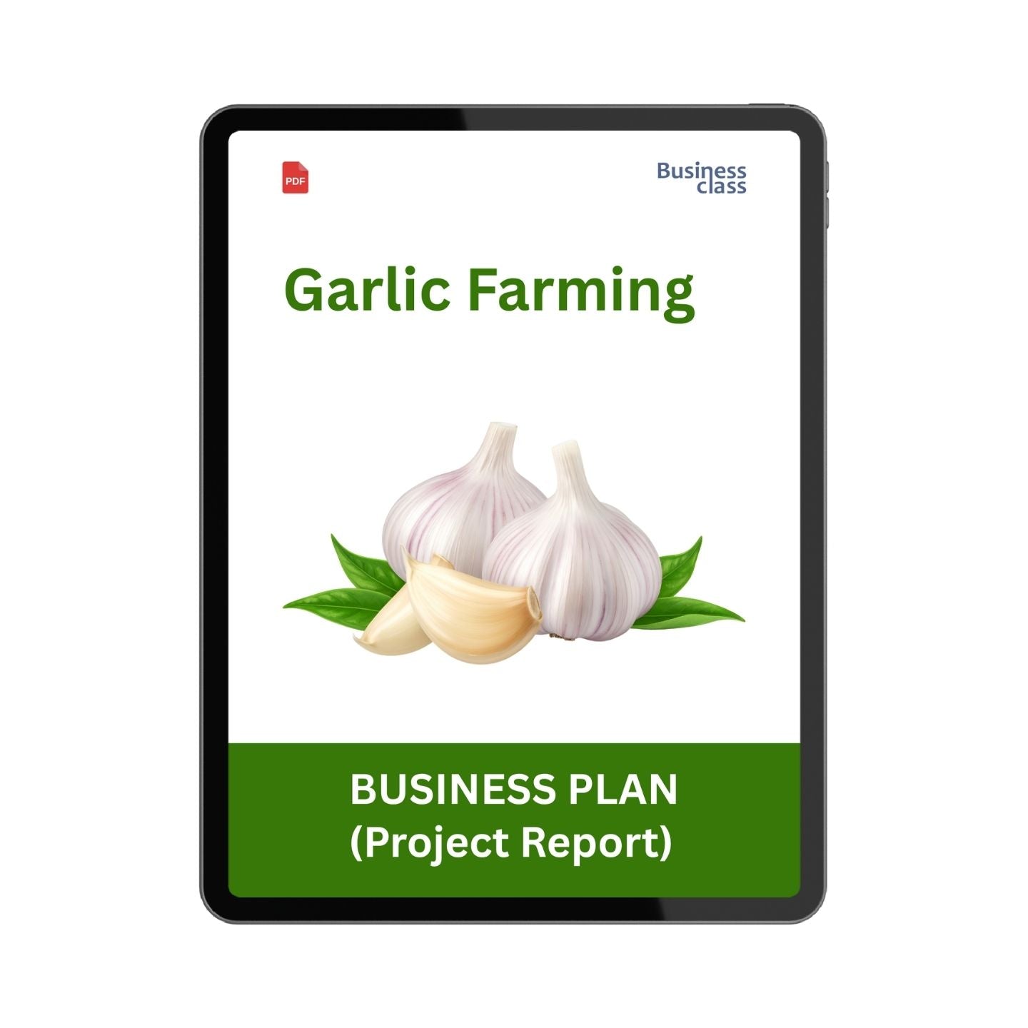 Garlic Farming Project Report & Business Plan PDF eBook | Cost, Profit, Feasibility, Financial Projections