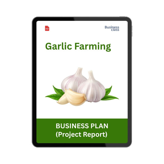 Garlic Farming Project Report & Business Plan PDF eBook | Cost, Profit, Feasibility, Financial Projections