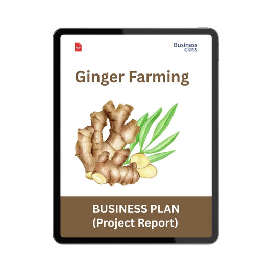 Ginger Farming Project Report & Business Plan PDF eBook | Costing, Cash Flow, Profitability & Startup Guide