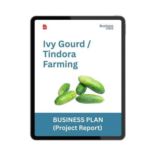 Ivy Gourd (Tindora) Farming Project Report and Business Plan PDF eBook