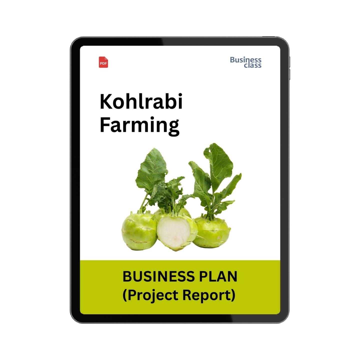 Kohlrabi Farming Project Report and Business Plan PDF | Cost, Profit, Cash Flow & Financial Projections