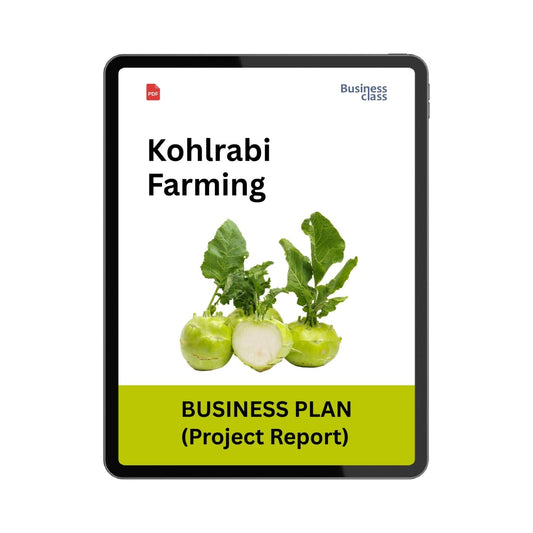 Kohlrabi Farming Project Report and Business Plan PDF | Cost, Profit, Cash Flow & Financial Projections