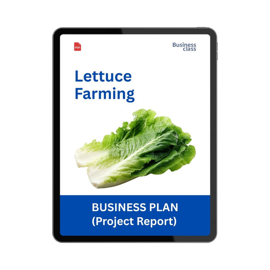 Lettuce Farming Project Report & Business Plan PDF eBook