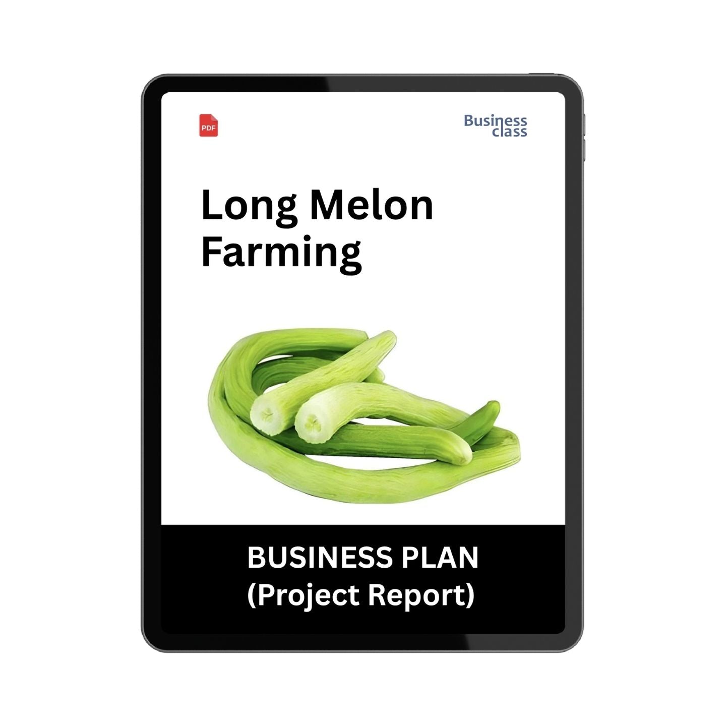Long Melon Farming Project Report & Business Plan PDF eBook