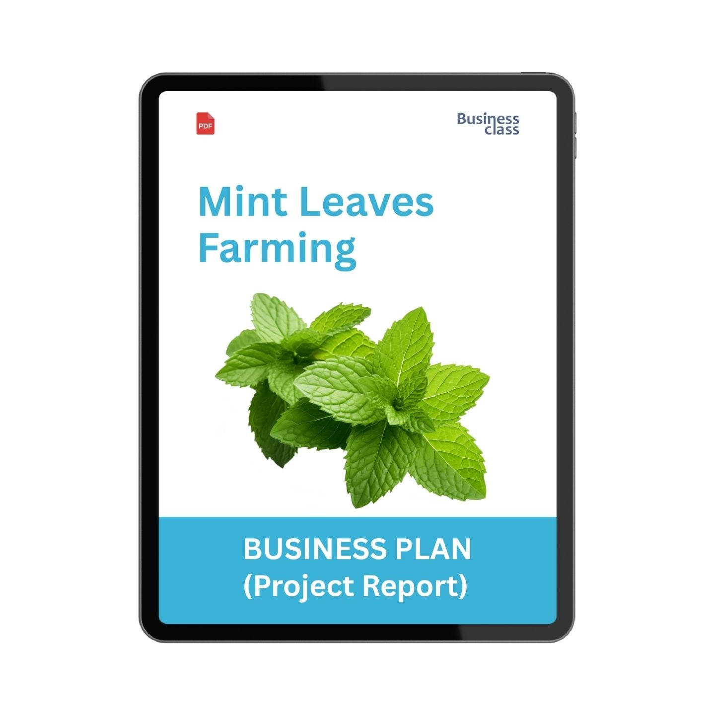 Mint Leaves Farming Project Report & Business Plan PDF eBook | Mint Cultivation Cost, Profit, Bank Loan and Financial Plan