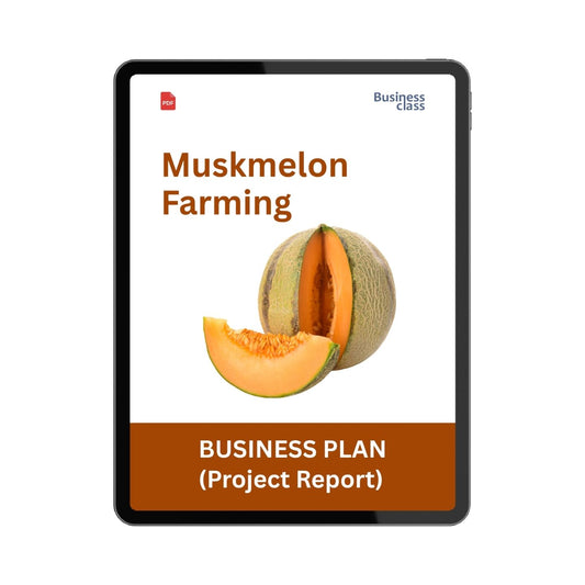Muskmelon Farming Project Report & Business Plan PDF eBook | Cost, Profit, Yield, Cash Flow & Bank Loan Guide