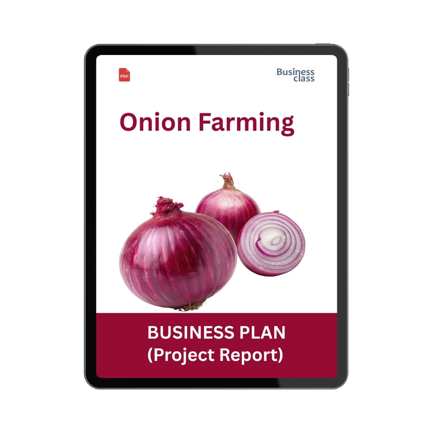 Onion Farming Project Report and Business Plan PDF Ebook | Cost, Profit, Cash Flow & Bank Loan Guide