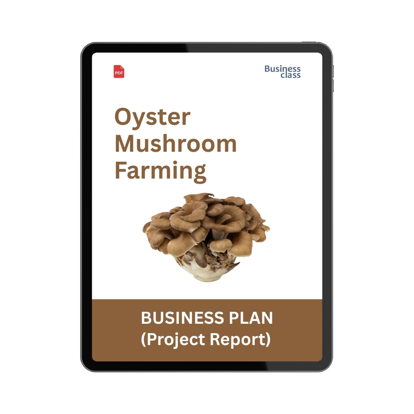 Oyster Mushroom Farming Project Report & Business Plan PDF Ebook