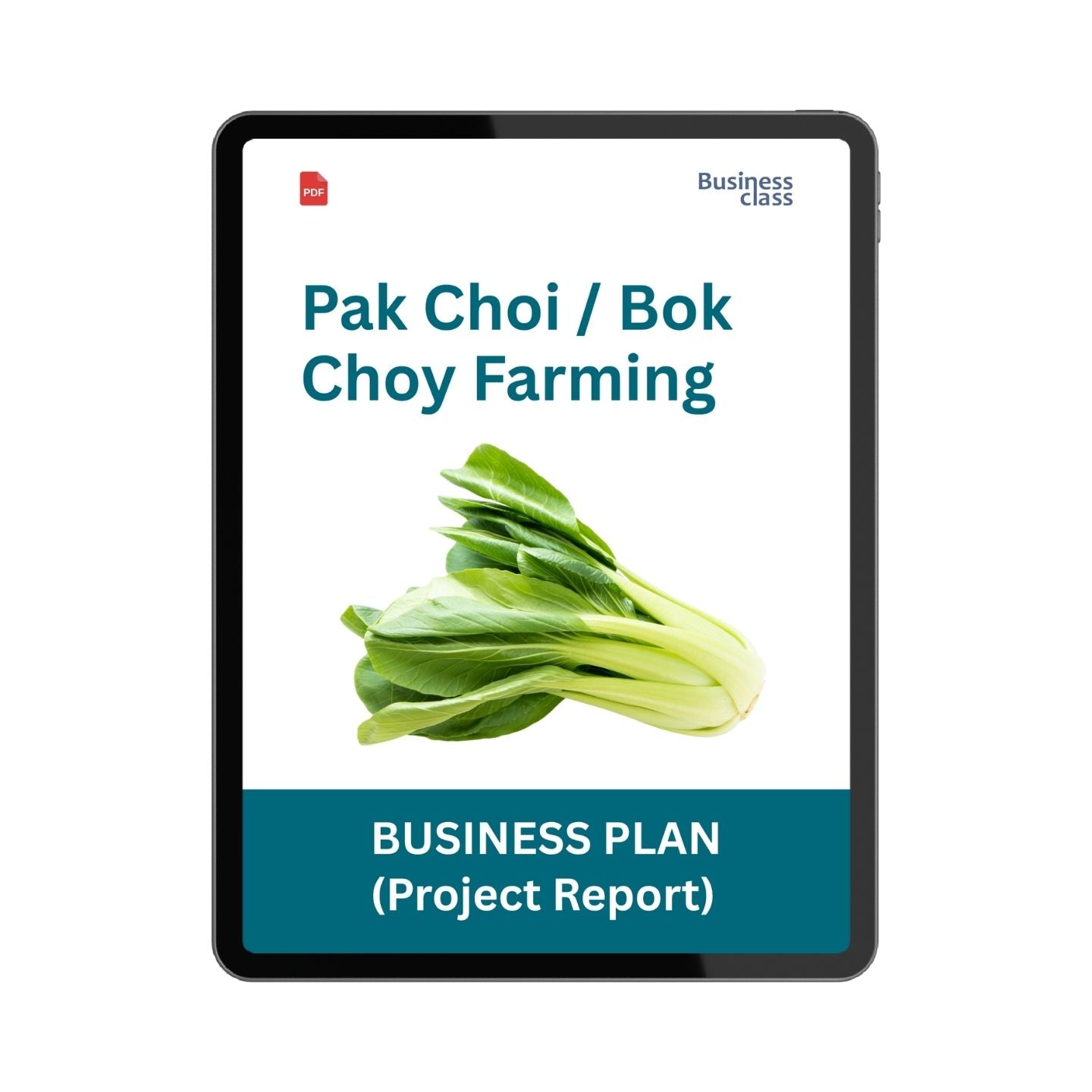Pak Choi / Bok Choy Farming Project Report & Business Plan PDF | Commercial Cultivation, Startup Cost, Profit Analysis