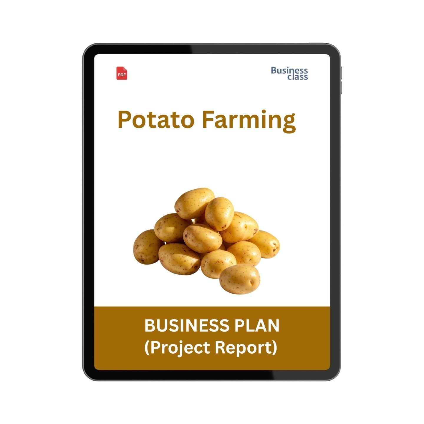 Potato Farming Project Report & Business Plan PDF Ebook