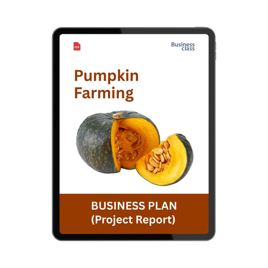 Pumpkin Farming Project Report and Business Plan PDF Ebook | Cost, Profit, Cash Flow & Loan Analysis