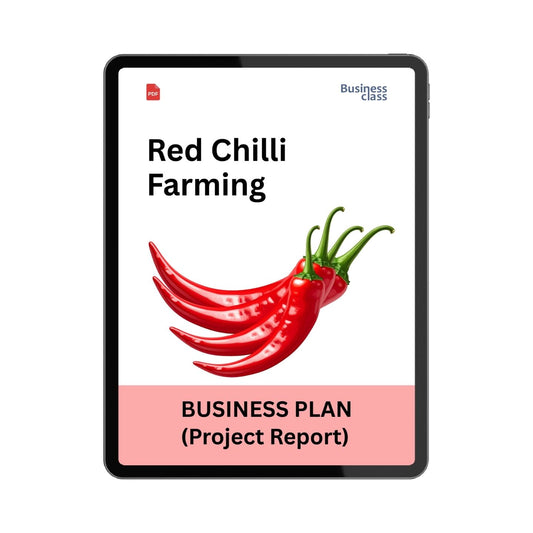 Red Chilli Farming Project Report & Business Plan PDF