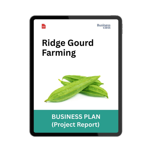 Ridge Gourd Farming Project Report and Business Plan PDF eBook