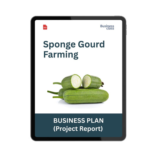 Sponge Gourd Farming Project Report & Business Plan PDF | Cost, Profit, Cultivation and Bank Loan Guide