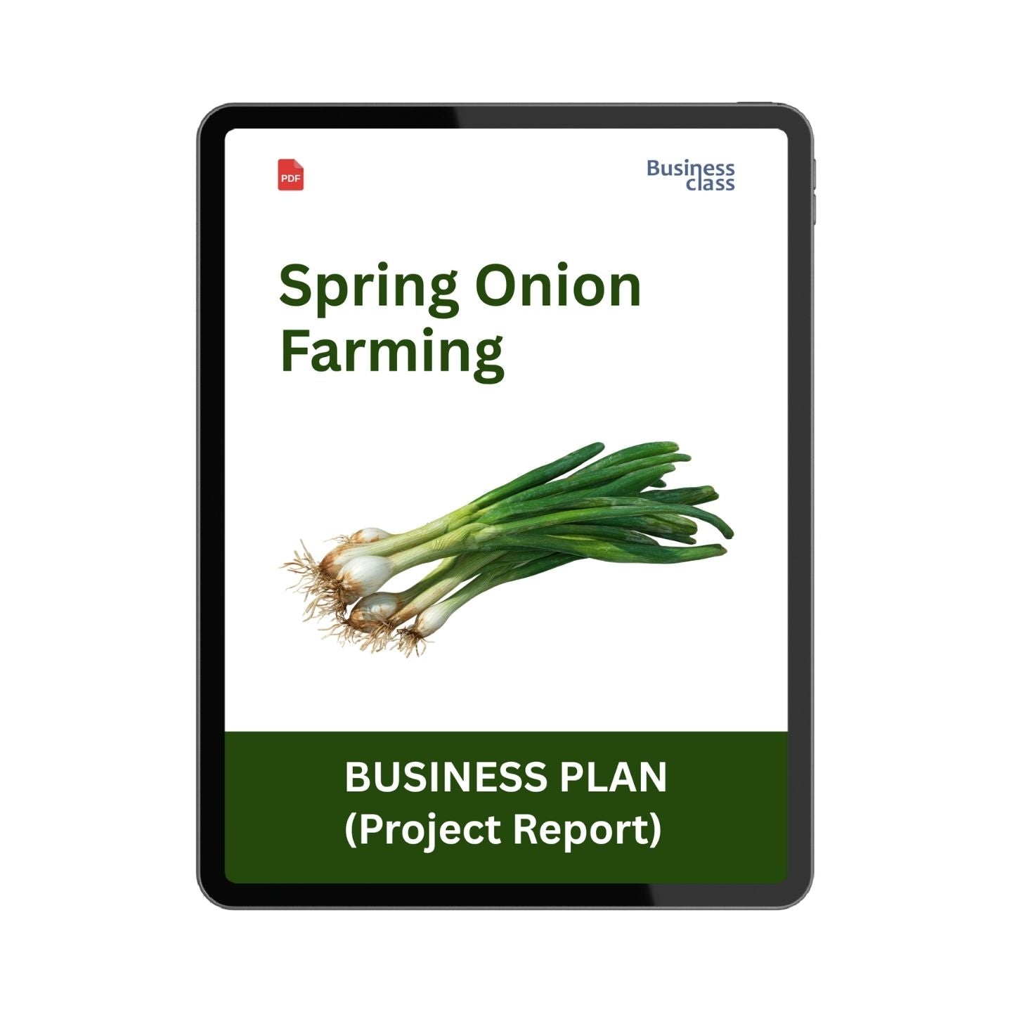 Spring Onion Farming Project Report & Business Plan PDF | Costing, Profitability, Cash Flow and Investment Guide