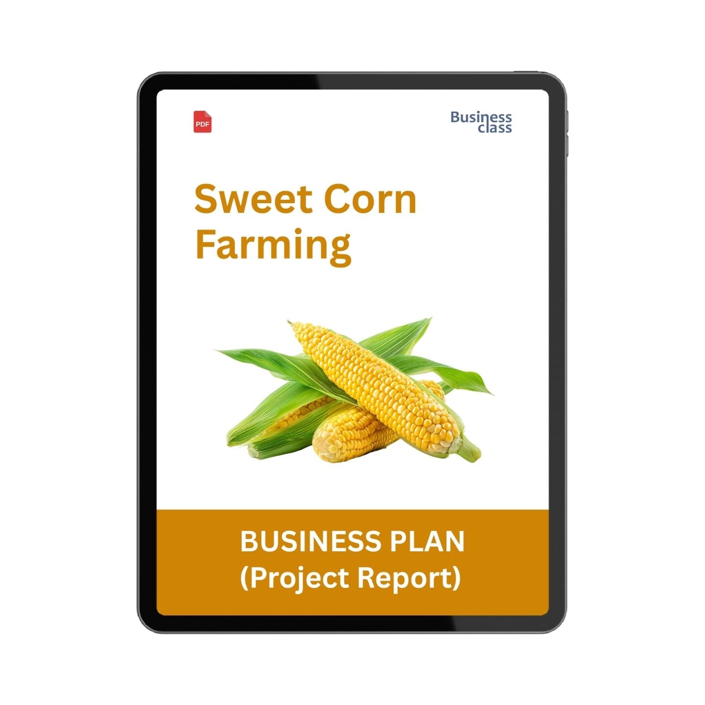 Sweet Corn Farming Project Report & Business Plan PDF Ebook