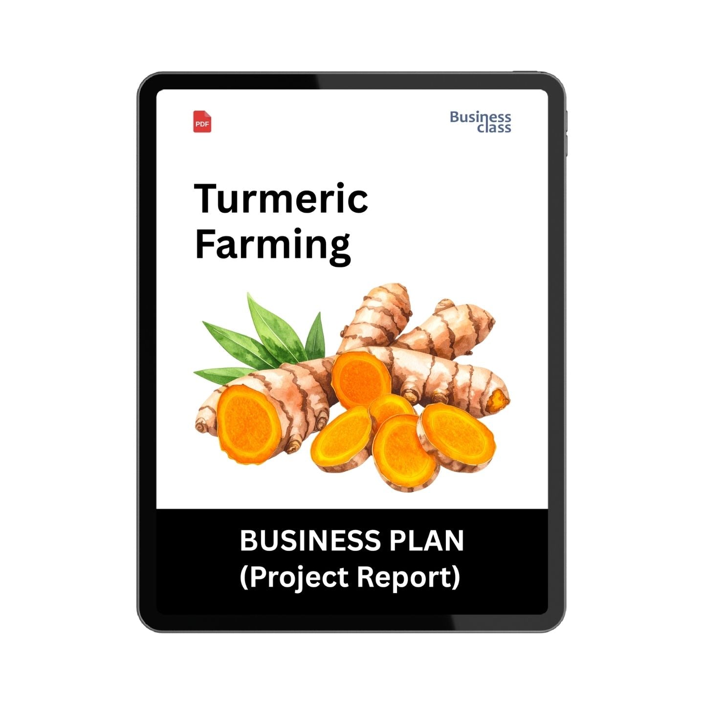 Turmeric Farming Project Report and Business Plan PDF Ebook