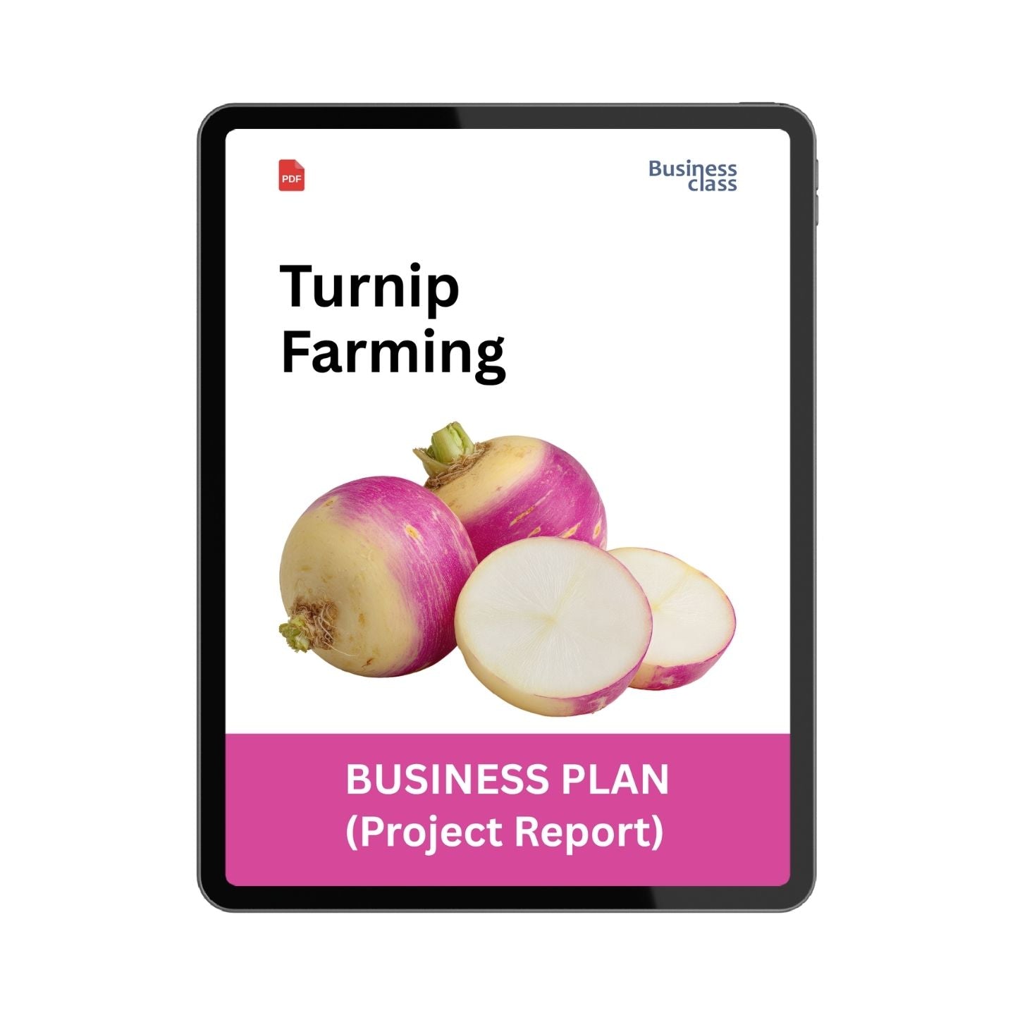 Turnip Farming Project Report and Business Plan PDF eBook | Cost, Yield, Profit, Investment and Financial Plan