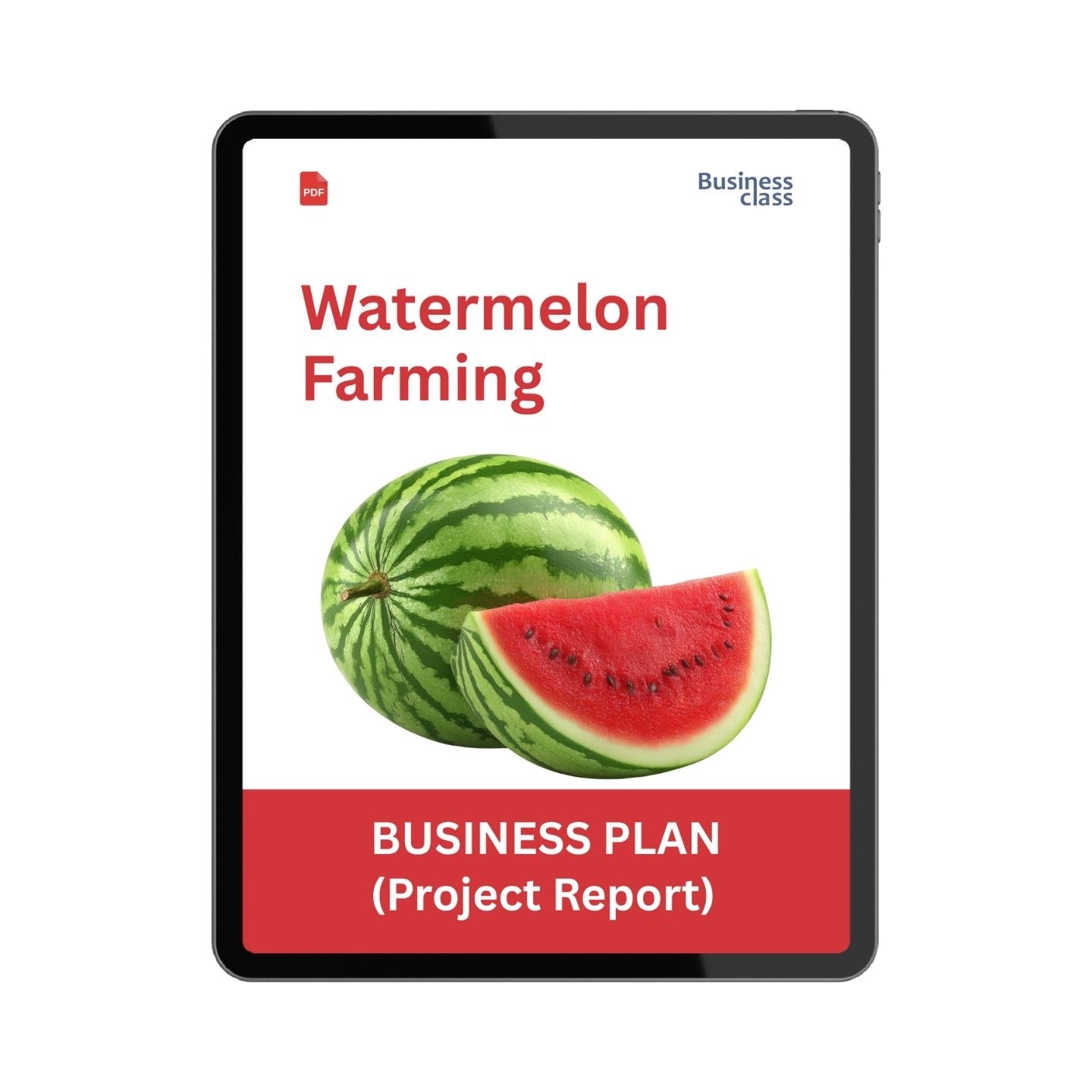 Watermelon Farming Project Report and Business Plan PDF Ebook | Profit, Cost, Yield, Investment and Bank Loan Guide