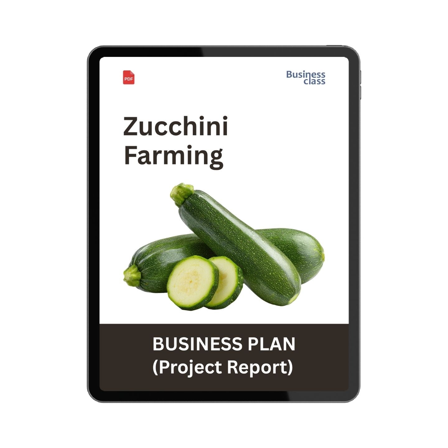 Zucchini Farming Project Report & Business Plan PDF eBook